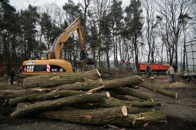 Fietsenstalling bomen rooien