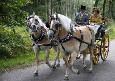 Koetsjesdag 2025