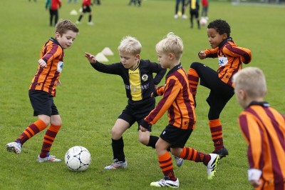 Mini-F in Zutphen